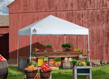 Load image into Gallery viewer, Commercial C100 10 x 10 ft. Straight Leg Canopy - White