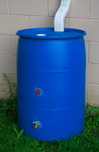 Load image into Gallery viewer, Big Blue 55 Rain Barrel