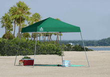 Load image into Gallery viewer, Quik Shade Expedition EX64 10 x 10 ft. Slant Leg Canopy with Travel and Storage Bag