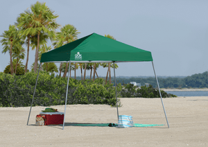 Quik Shade Expedition EX64 10 x 10 ft. Slant Leg Canopy with Travel and Storage Bag