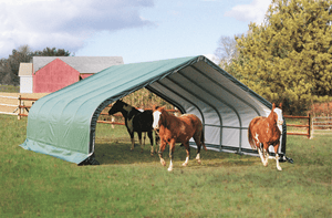 ShelterLogic 22x20x10 Peak Style Run In/Hay Storage Shelter, Green Cover