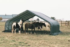 ShelterLogic 22x24x12 Peak Style Run-In Shelter with Green Cover