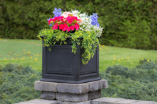 Load image into Gallery viewer, Savannah 20&quot; Square Planter Box